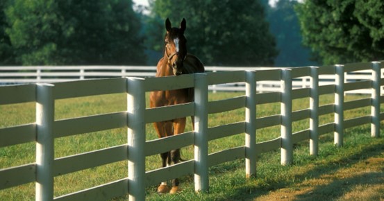 Farm Fence Solutions